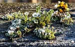 Wintermorgen