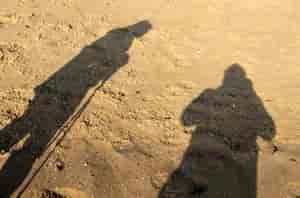 Die.die im Schatten stehen