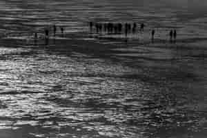 Menschen im Watt