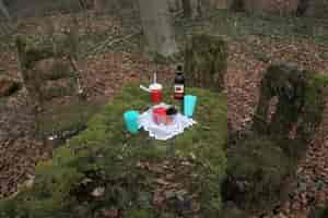 Waldcafe