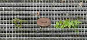 hinter Gittern