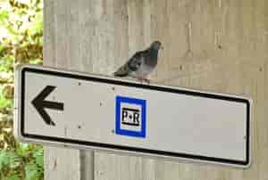 gilt auch für Flugverkehr