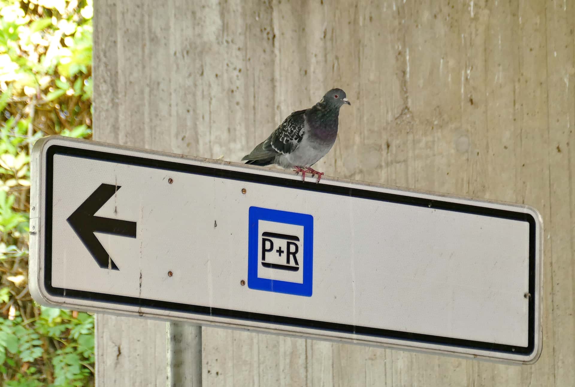 gilt auch für Flugverkehr