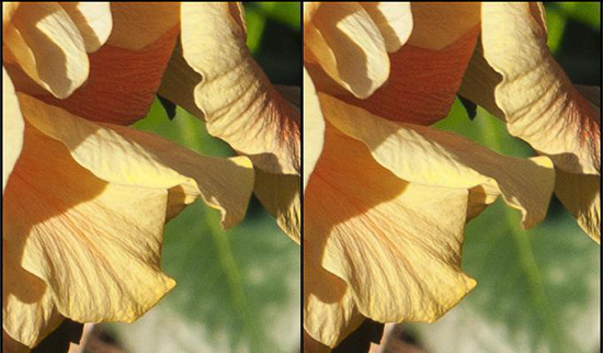 Bild 6: Original AdobeRGB links und Transformation nach sRGB rechts